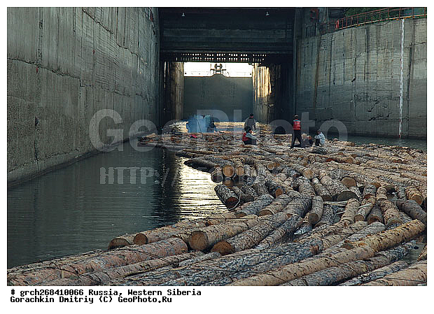 �����������, ���, �������� ������, ������, �������������������, �����, ����� ����, ���������, ����