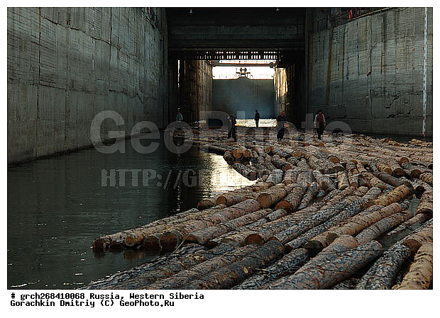 �����������, ���, �������� ������, ������, �������������������, �����, ����� ����, ���������, ����