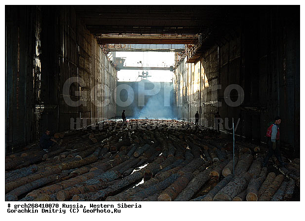 �����������, ���, �������� ������, ������, �������������������, �����, ����� ����, ���������, ����