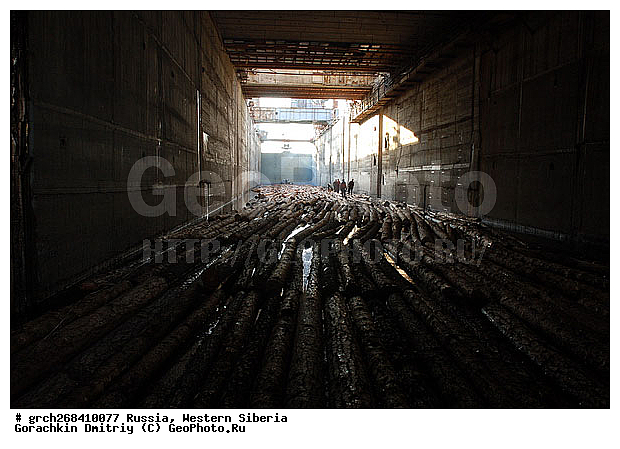 �����������, ���, �������� ������, ������, �������������������, �����, ����� ����, ���������, ����