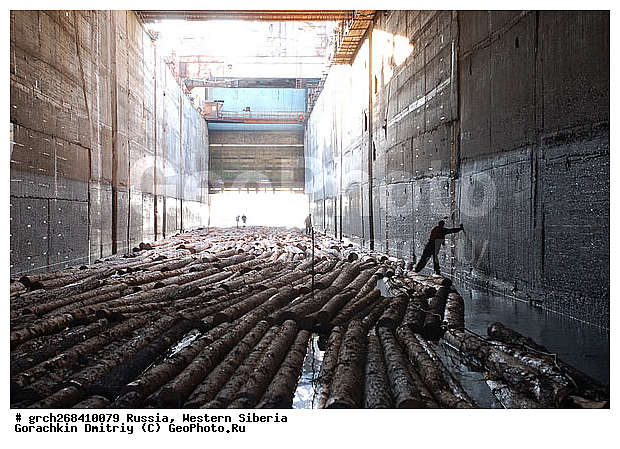 �����������, ���, �������� ������, ������, �������������������, �����, ����� ����, ���������, ����