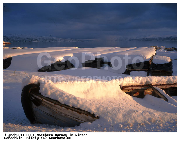 ������, �������, �������� ��������, ���������, �����������