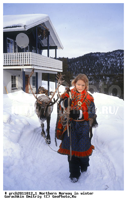 ������, �������, �������� ��������, ���������, �����������