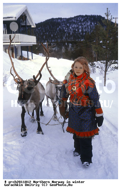 ������, �������, �������� ��������, ���������, �����������