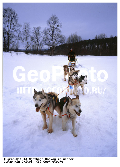 ������, �������, �������� ��������, ���������, �����������