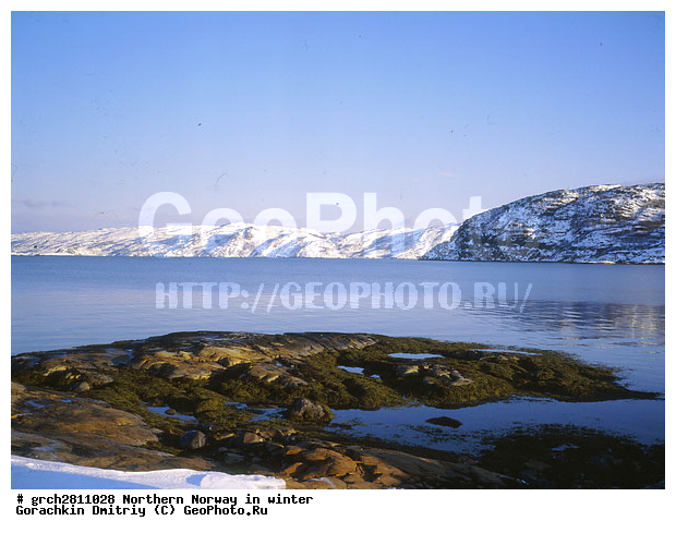 ������, �������, �������� ��������, ���������, �����������