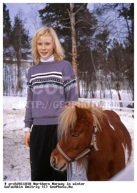 ������, �������, �������� ��������, ���������, �����������