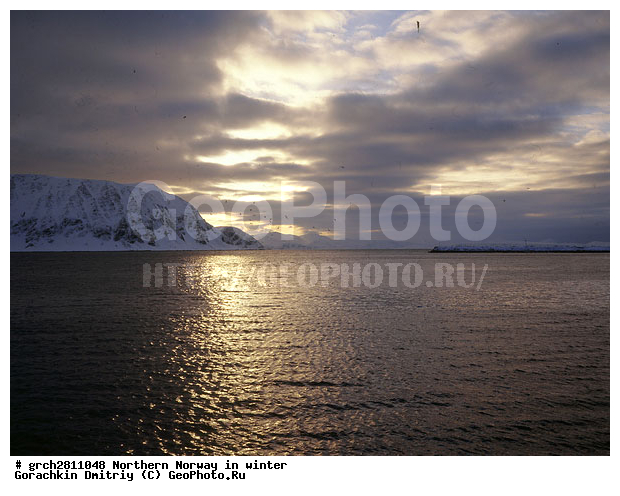 ������, �������, �������� ��������, ���������, �����������