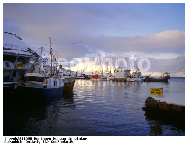 ������, �������, �������� ��������, ���������, �����������