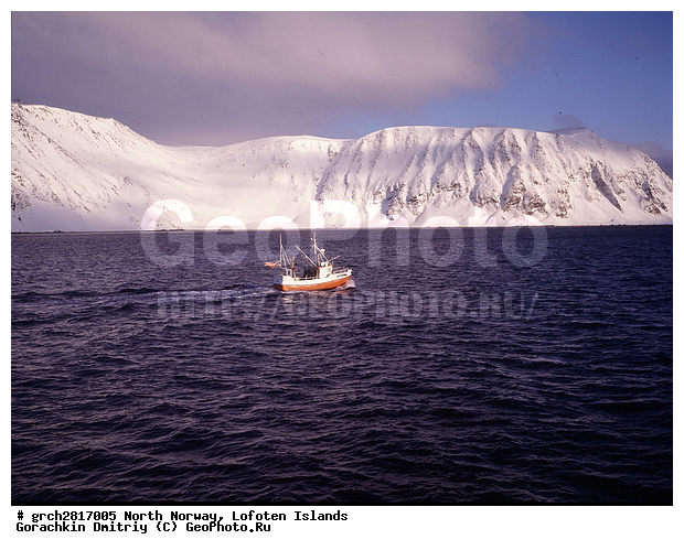 ����������� �������, ��������, ����, �������, ����, �����