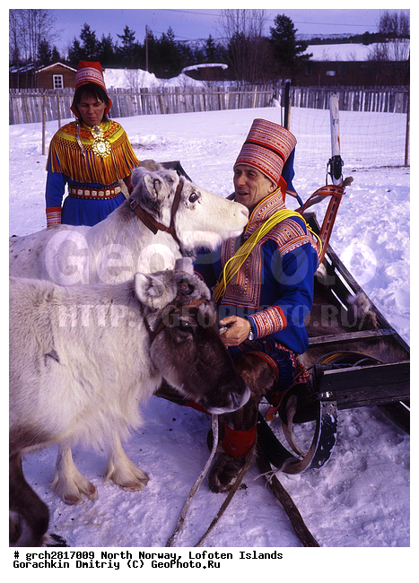 ����������� �������, ��������, �������