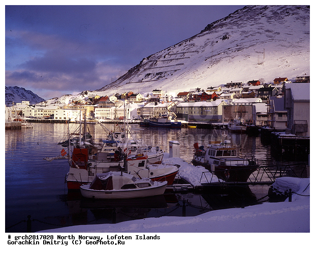 ����������� �������, ��������