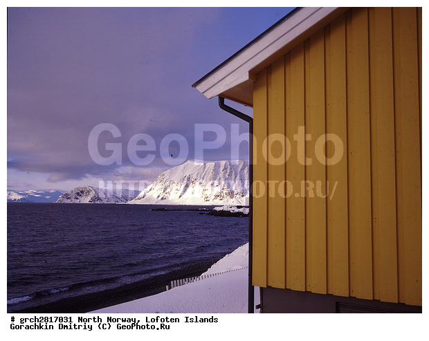 ����������� �������, ��������, ���������� ���, ������