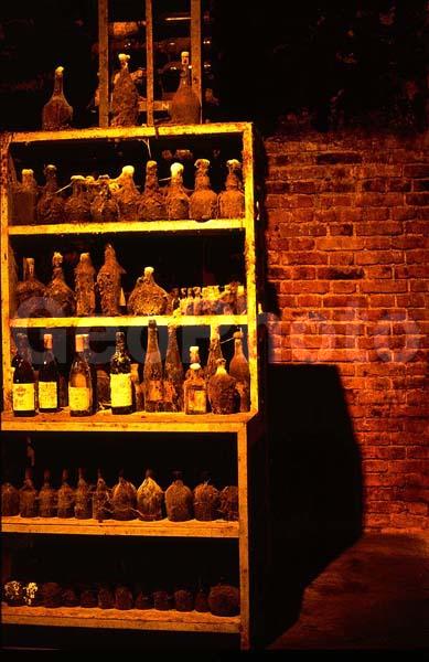 ����, ���������, �����������, ���������, ������, ������, ���������