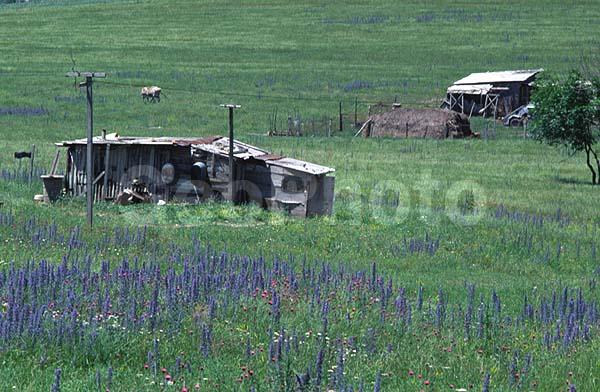 ���, ������, ����, ������������, ������, �����