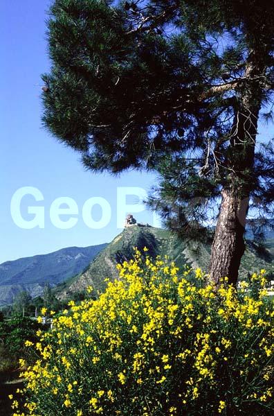 ����, ���������, �����, ���������, �������, �����, ����, �������