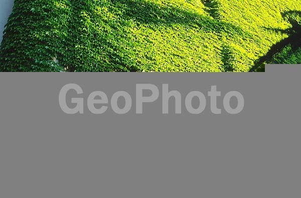 �������, �����, ���������, ����, ���������, �����, ����