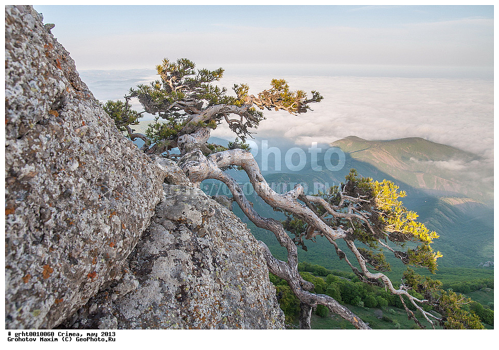 ����, ���