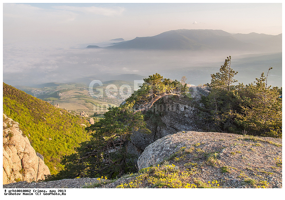 ����, ���