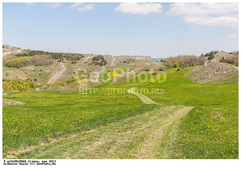 ����, ���