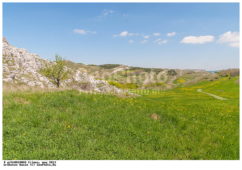 ����, ���