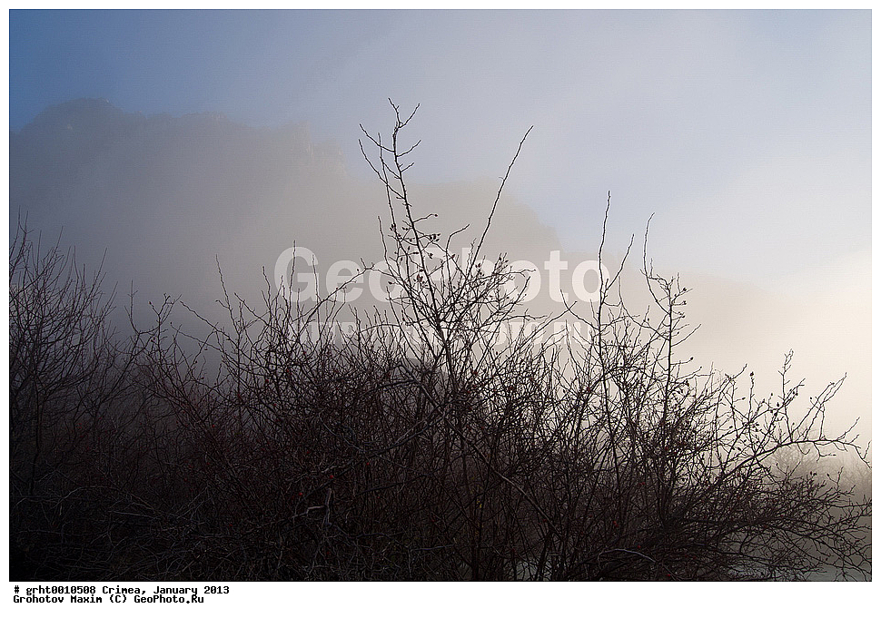 ����, ������ 