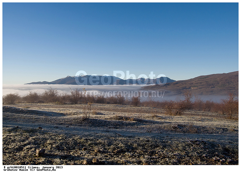 ����, ������ 