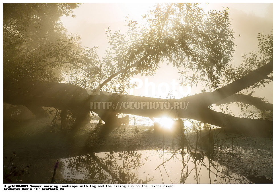 ���� � ����, ����, �����, ��������� ����, ����������� ������, �������, ��������� �������, ������