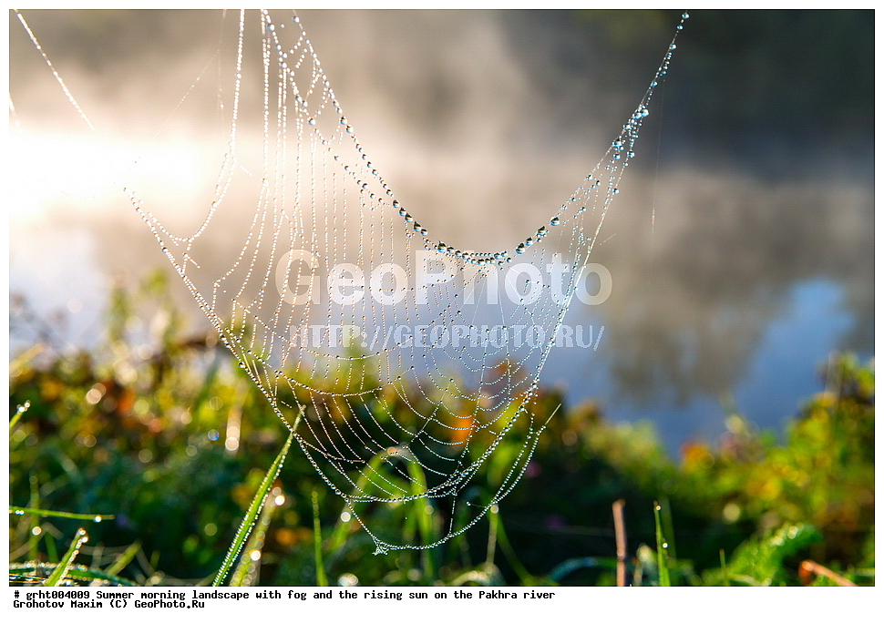 ���� � ����, ����, �����, ��������� ����, ����������� ������, �������, ��������� �������, ������