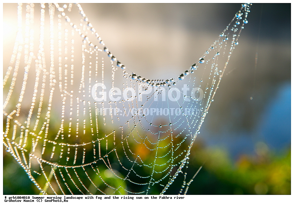 ���� � ����, ����, �����, ��������� ����, ����������� ������, �������, ��������� �������, ������