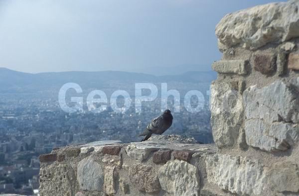 �����, ������, ��������, ����������� ����, ������, �����