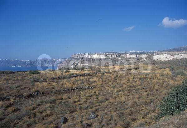 ������, ����������� ����, �������