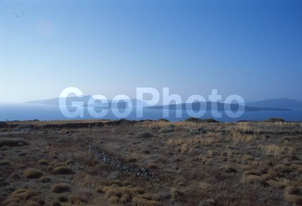 ������, ����������� ����, �������