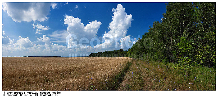 �����������, ������, ����, ������, ��������, ������, ����, �������, ��������