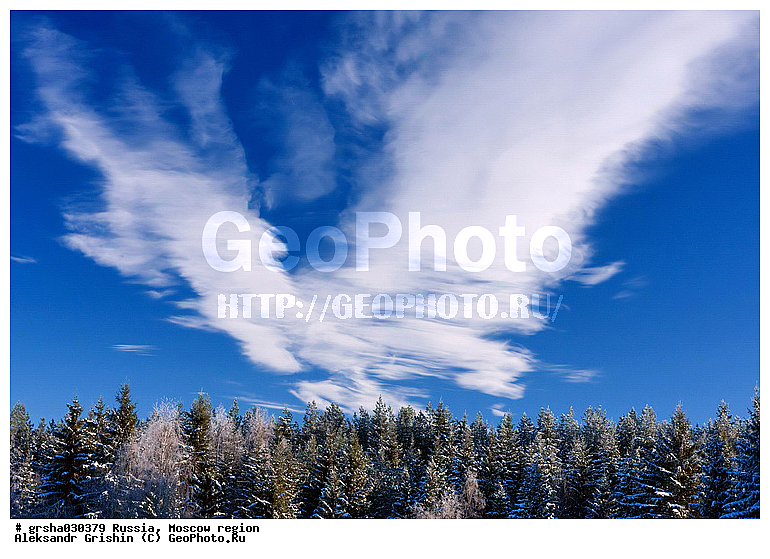 �����������, ����, ���, ����, ������, ������