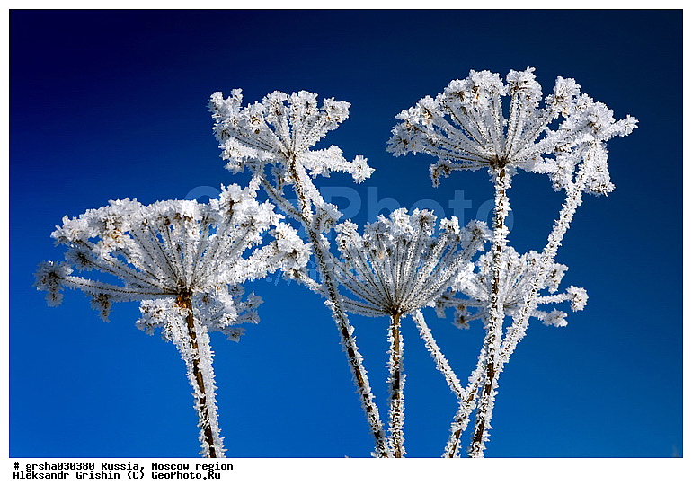 �����������, ����, ����, �����, ����, ������, ����