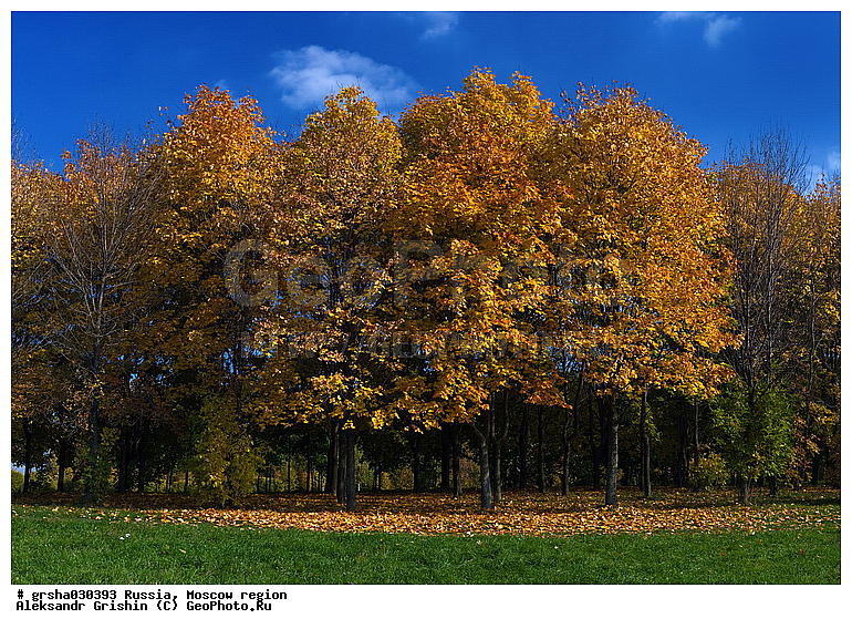 �����������, �������, ������� �����, ����, �����, ������