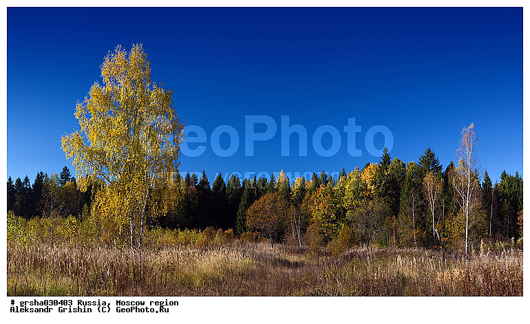 �����������, ������, �������, ������� �����, ���, �����, ��������, ������