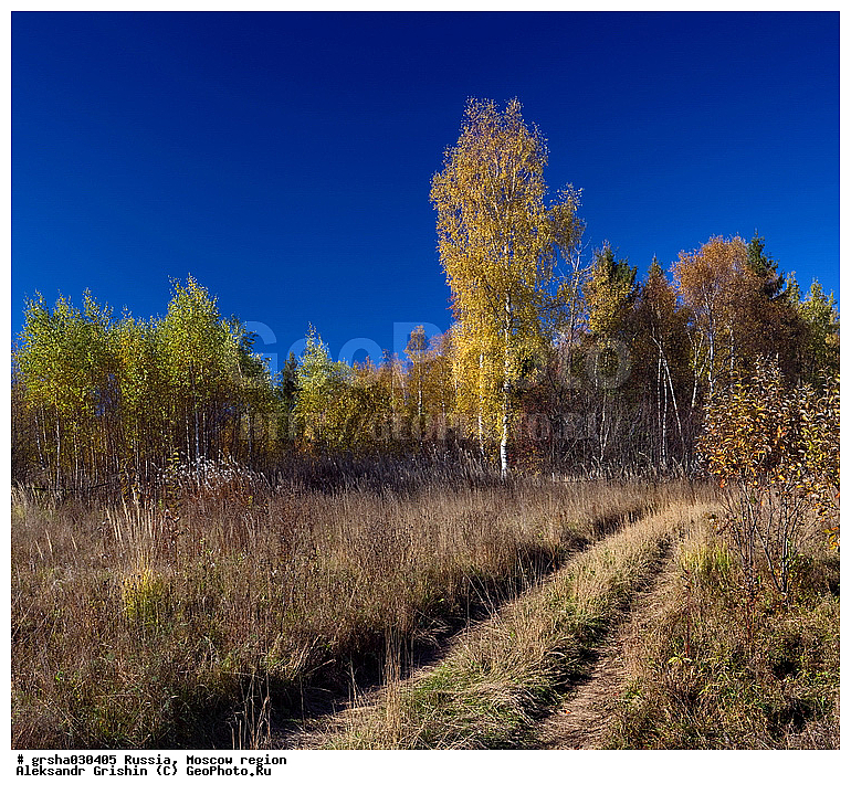 �����������, ������, �������, ������, ������� �����, �����, ������, ����