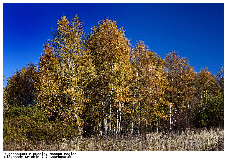 �����������, ������, �������, ������� �����, �����, ������, ����