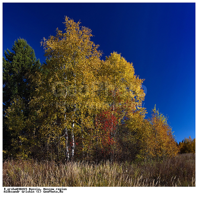 �����������, ������, �������, ������� �����, �����, ������