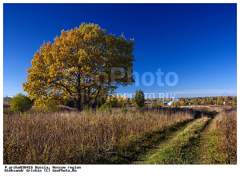 �����������, �������, ������, ������� �����, �����, ������, ����, ��������