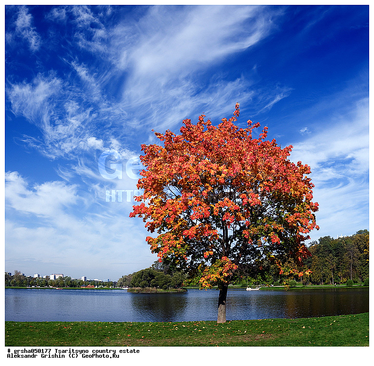 ������, ��������, �����, ����, �����, ����, ������, �����, ����, ������, ����, �������