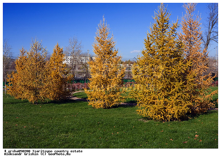 ������, ��������, �����, �����, ����, ������, �������