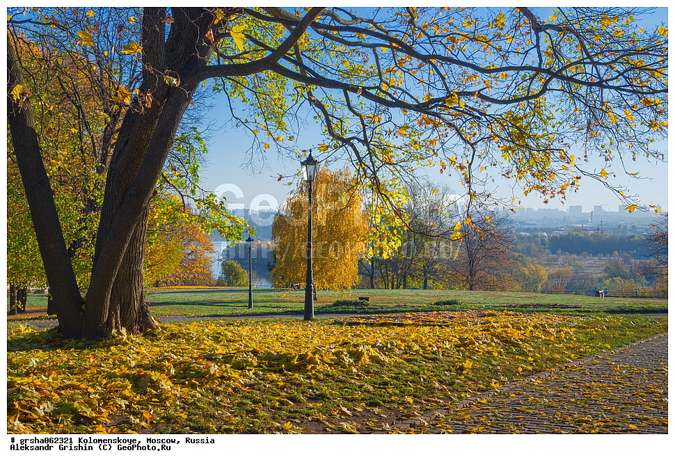 �����������, ������, ������, �����������, �������