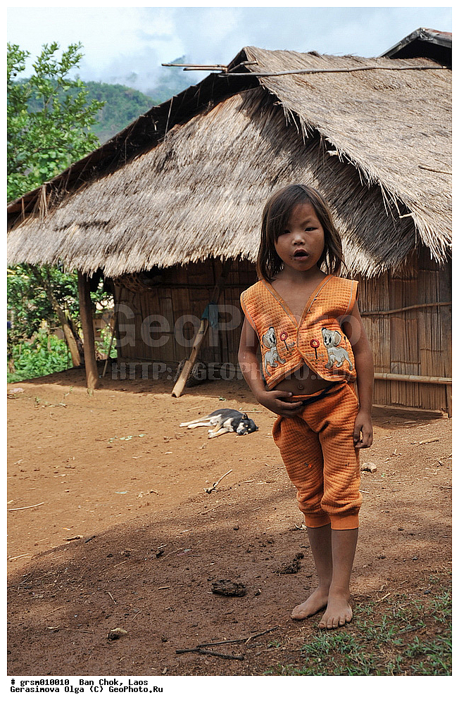 ��� ���, ����