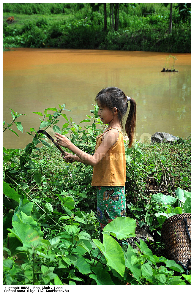 ��� ���, ����