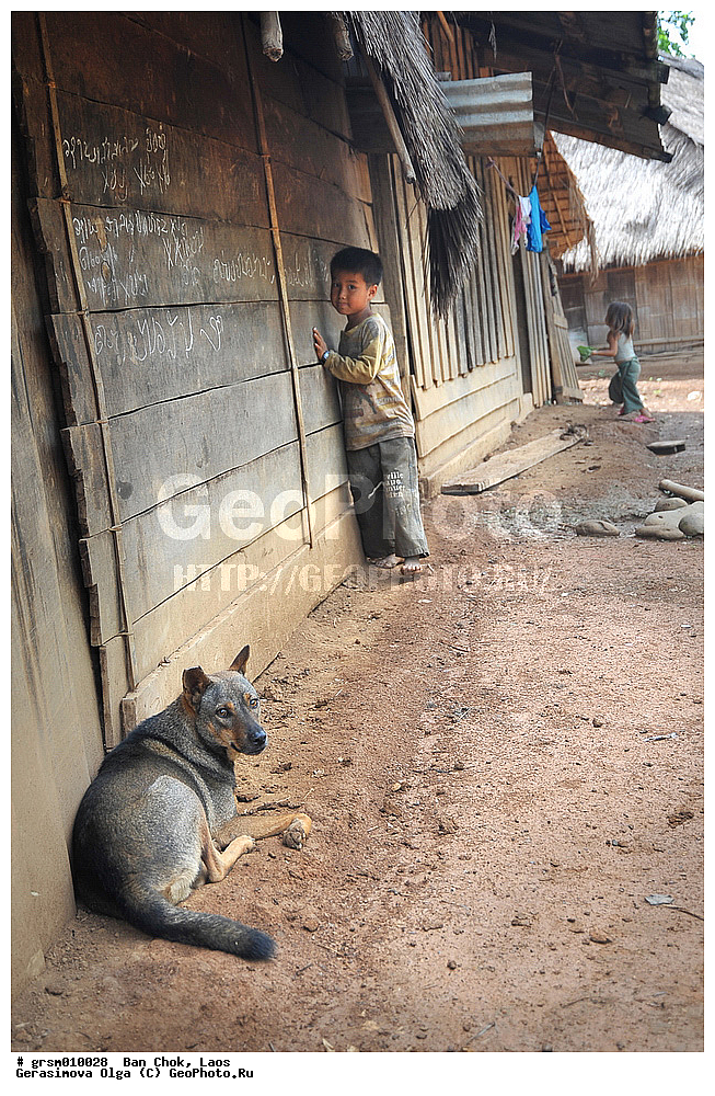 ��� ���, ����