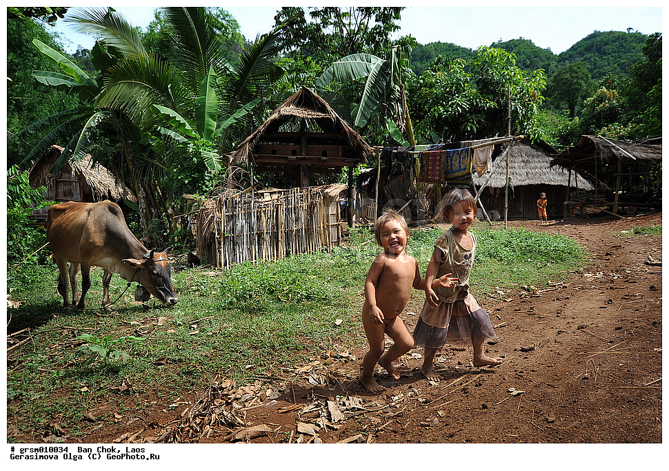 ��� ���, ����