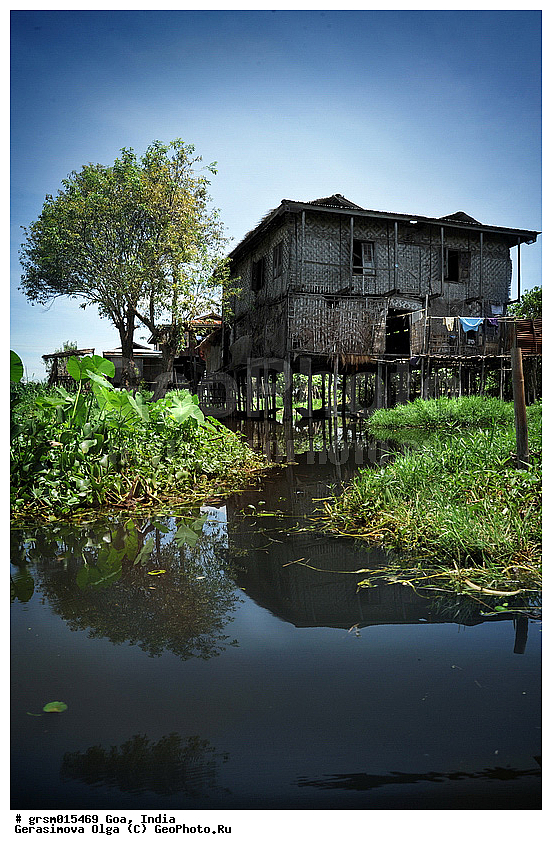 ������(�����)